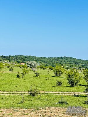 image_8
