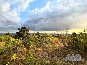 image_8