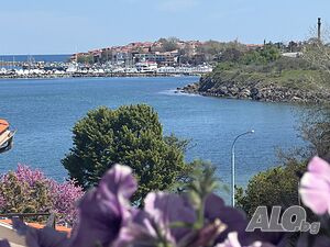 image_11
