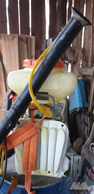 image_7