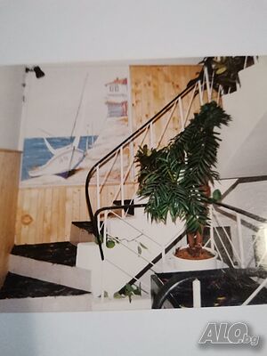 image_11