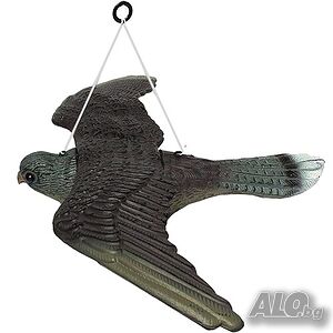 image_6