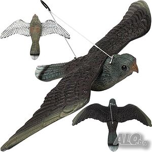 image_7