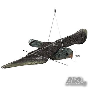 image_8