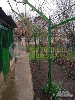 image_14