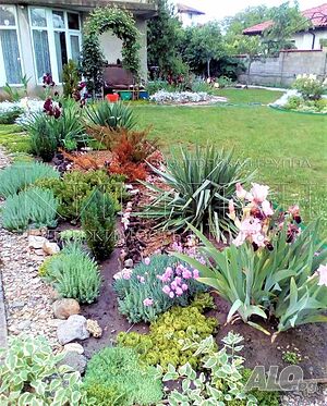 image_11