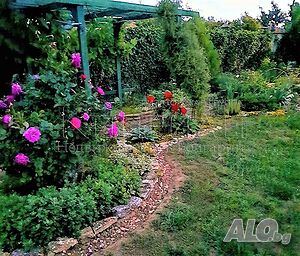 image_12