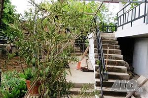 image_8