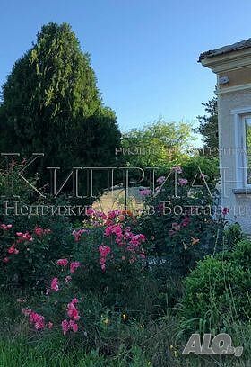 image_6