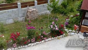 image_11