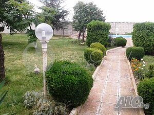 image_8