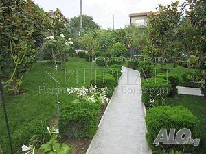 image_5