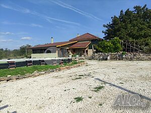 image_2