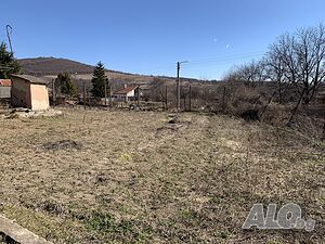 image_11