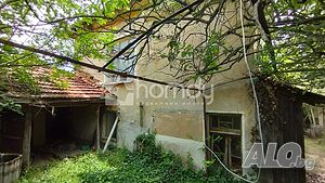 image_6