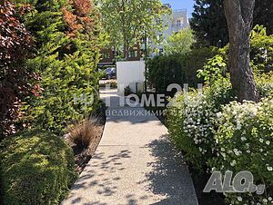 image_3