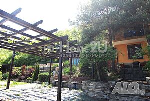 image_9