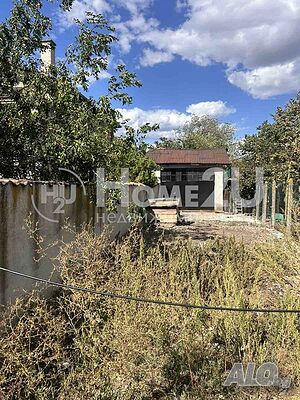 image_6