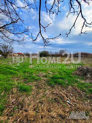 image_8