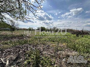 image_10