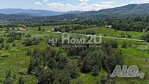 image_4