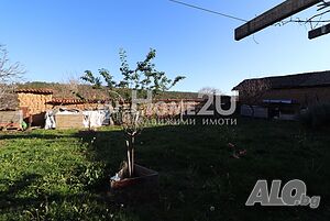 image_5