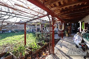 image_29