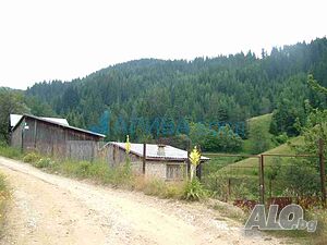 image_2