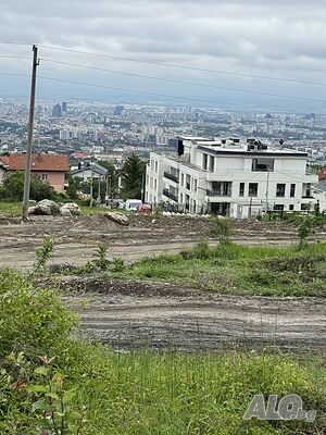 image_6