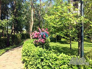 image_3