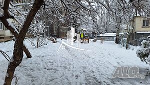 image_13
