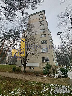 image_11