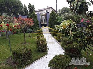 image_15