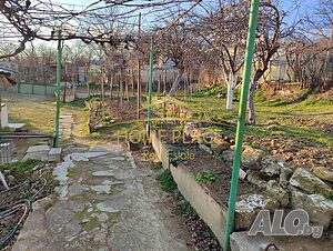 image_7