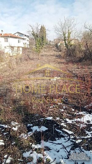 image_6