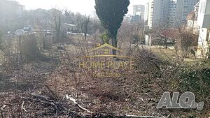 image_7
