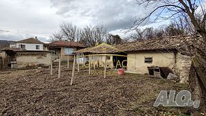 image_11