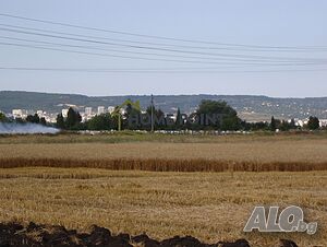 image_6