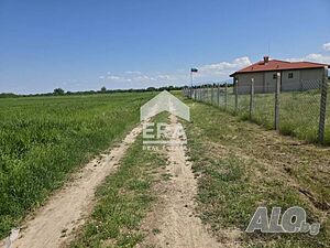 image_12
