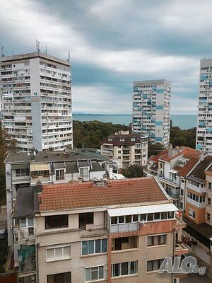 image_11