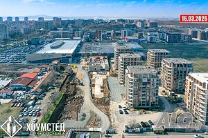 image_11