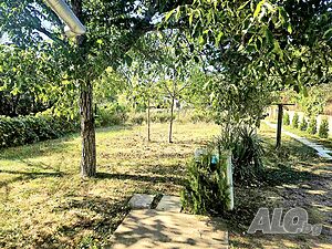 image_14