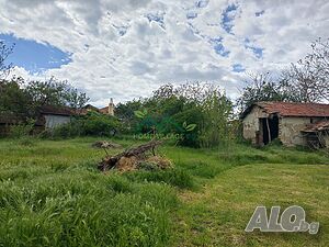 image_11