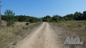 image_2