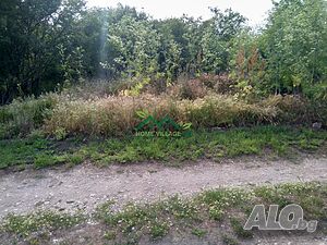 image_6