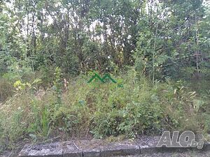 image_7