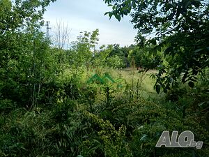 image_8