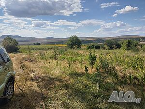 image_7
