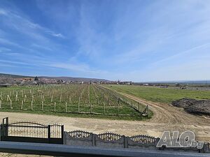 image_11