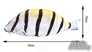 image_2